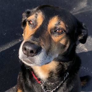 Meet your Posher, Regan